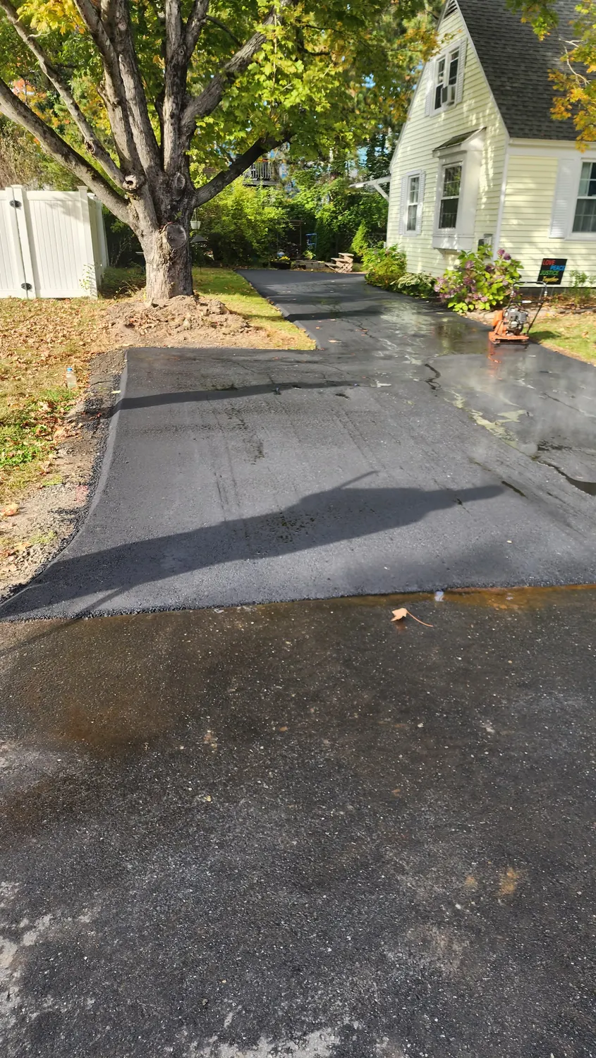 Wet, glossy finish on a newly sealed driveway